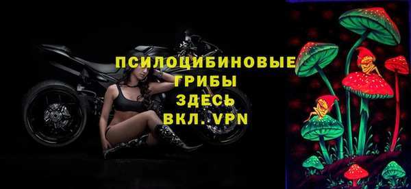 дмт Гусев