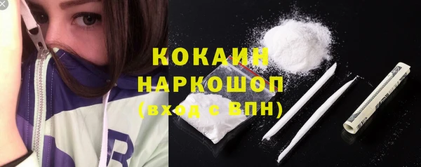 индика Ивангород