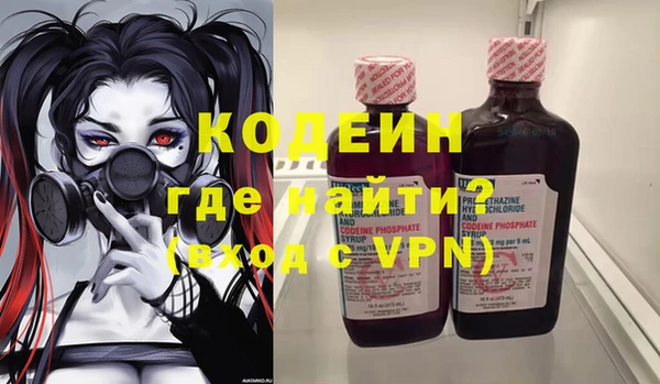 дмт Гусев