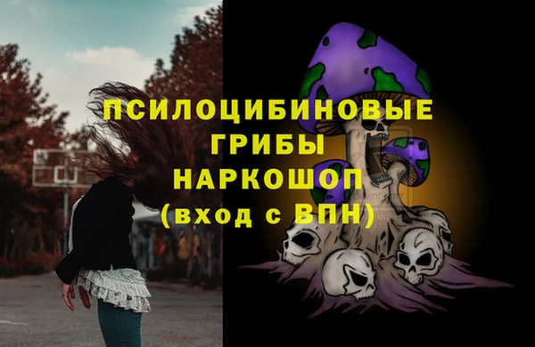 Альфа ПВП Нея